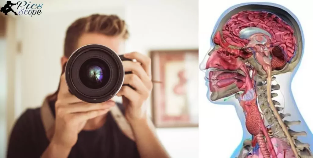 Unveiling the Intricacies, Photography's Impact on Anatomy Understanding
