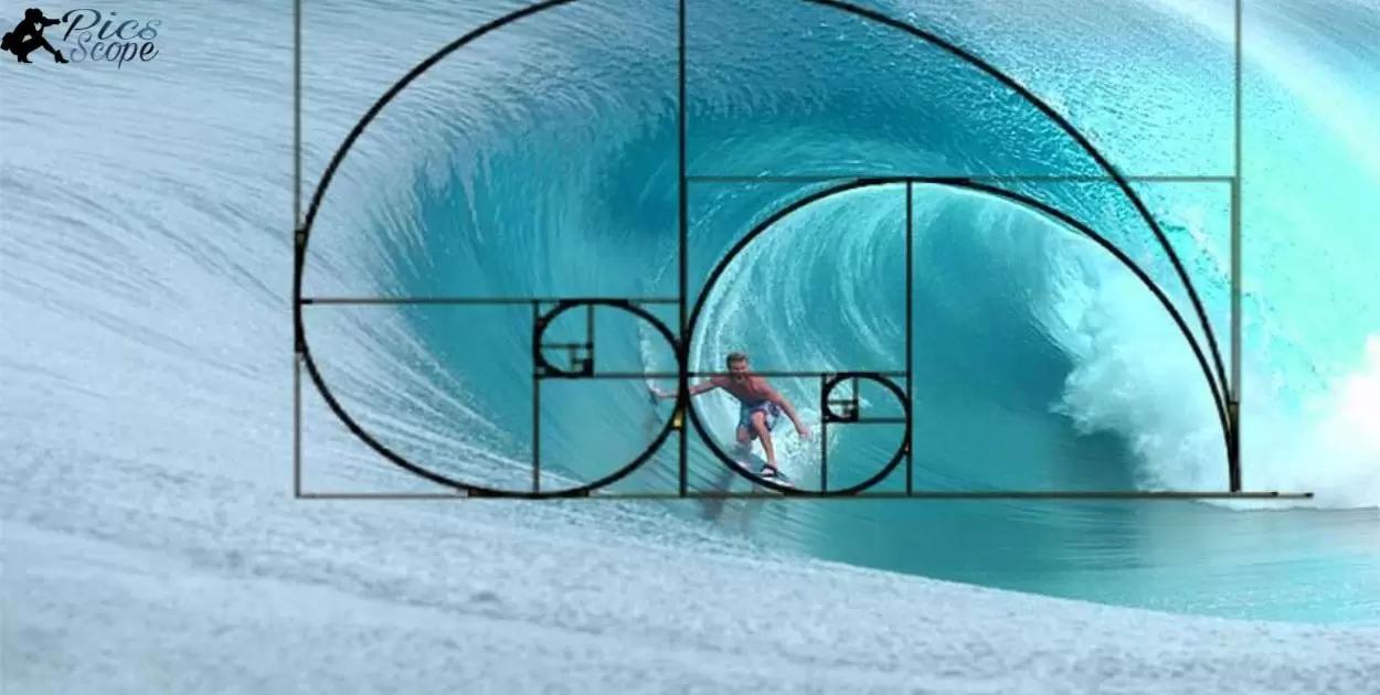 The Fibonacci Spiral Photography