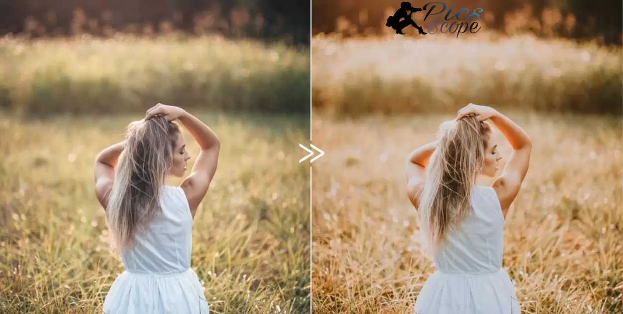 What Are Presets In Photography?