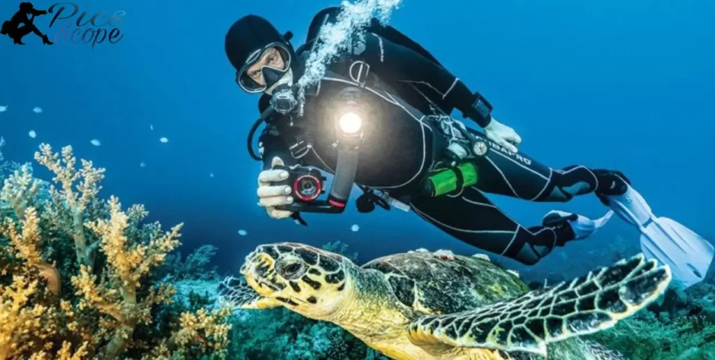 Developing Your Underwater Photography Skills