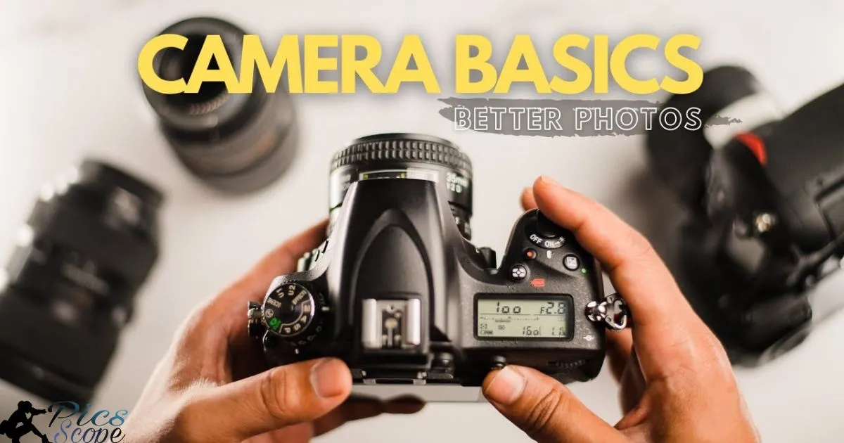 What Are The Basics Of Photography?