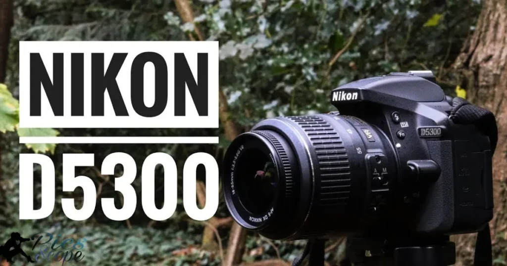 Who Is The Best Digital Camera For Beginners Nikon?